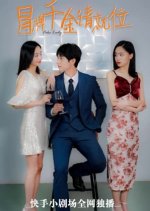 Fake Lady Chinese Drama photo