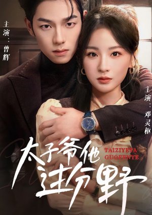 Tai Zi Ye Ta Guo Fen Ye (2025) poster