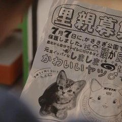 You and Me Japanese Movie photo