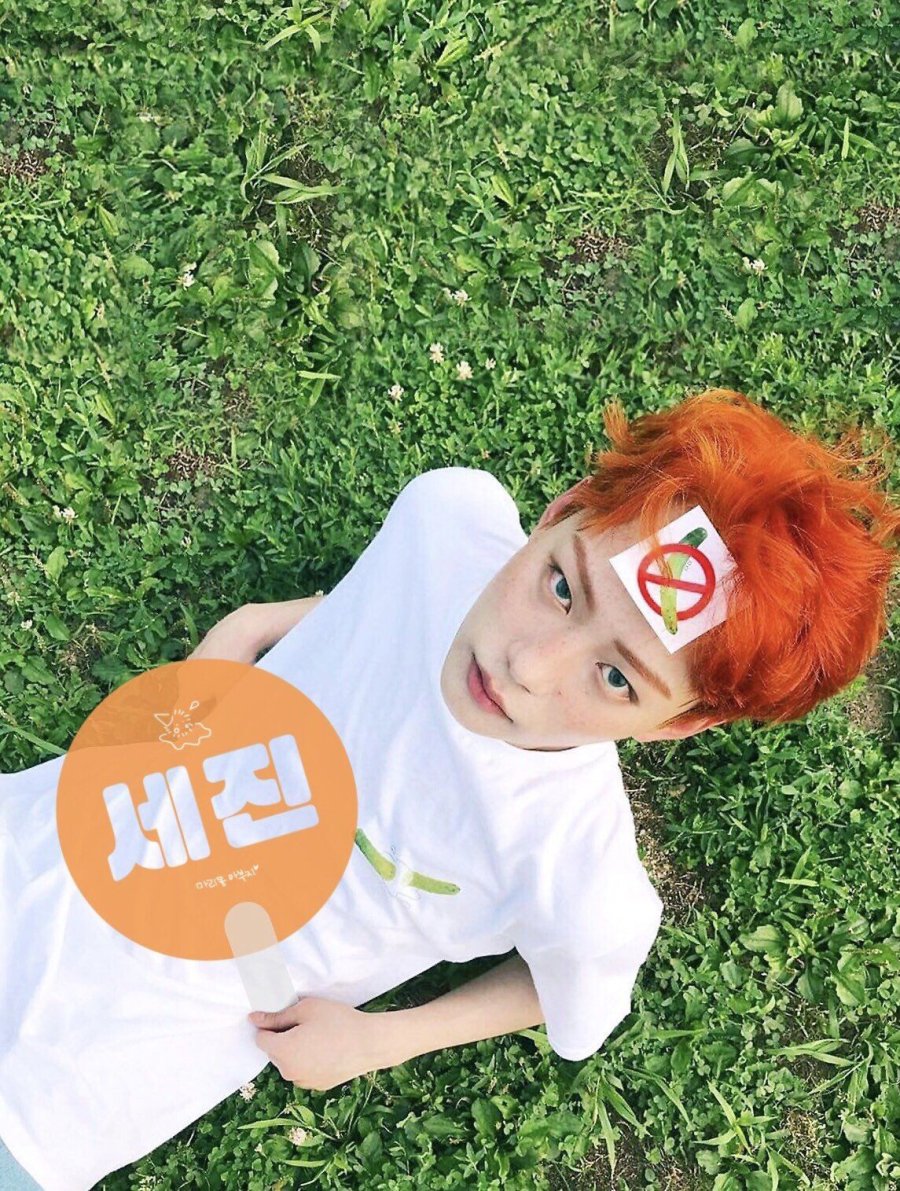 se jin.jpg