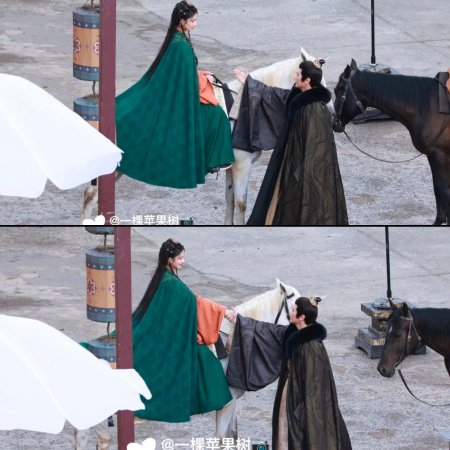 The Last Princess ()