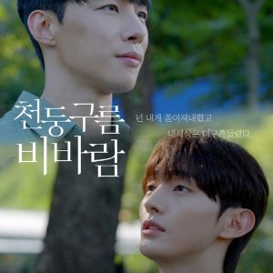 Thundercloud Rainstorm (2025)