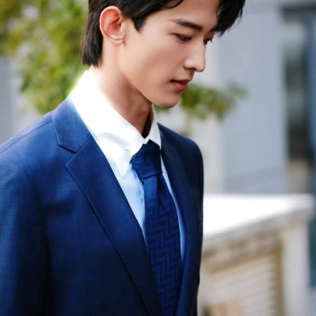 The Vanishing Beauty ()