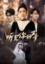 Your Voice Is Heard Chinese Drama(2024) photo