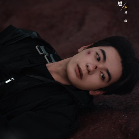 Love on the Turquoise Land (2025)