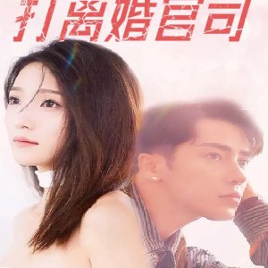 Lao Gong Chi Zi Qian Wan, Qing Wo Bang Ta Da Li Hun Guan Si (2024)