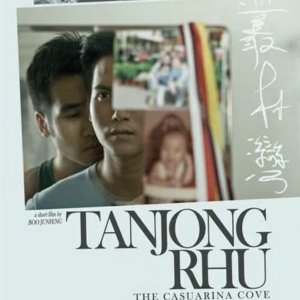 The Casuarina Cove (2009)