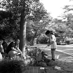 Life Finds a Way Japanese Movie photo