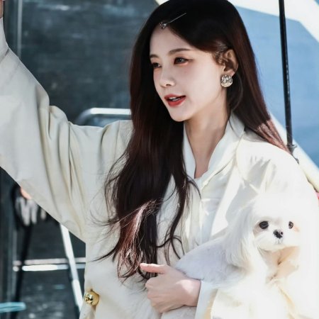 The Vanishing Beauty ()