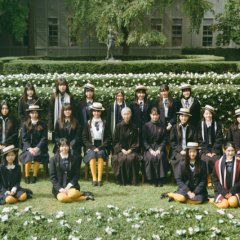 White Flowers and Fruits Japanese Movie(2025) photo