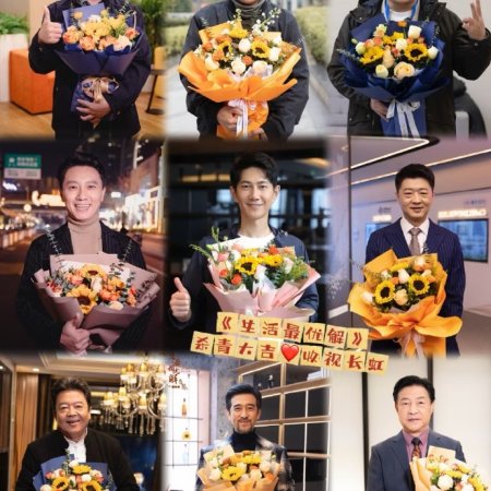 Life Optimal Solution (2025)