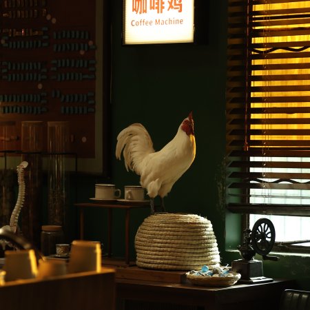 Love on the Turquoise Land (2025)