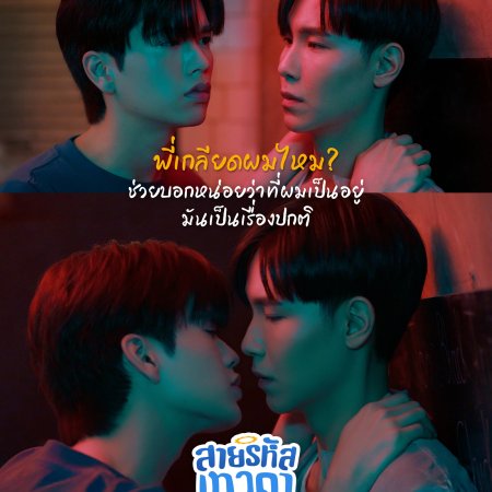 Perfect 10 Liners (2024)