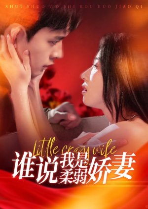 Little Crazy Wife poster