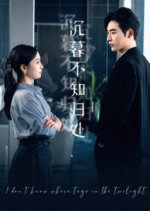 I Don't Know Where to Go in the Twilight Chinese Drama photo
