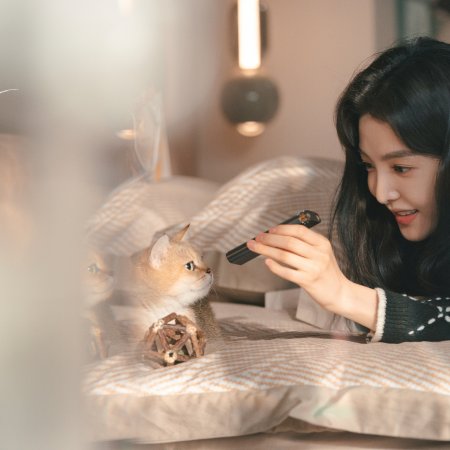 The First Frost (2025)