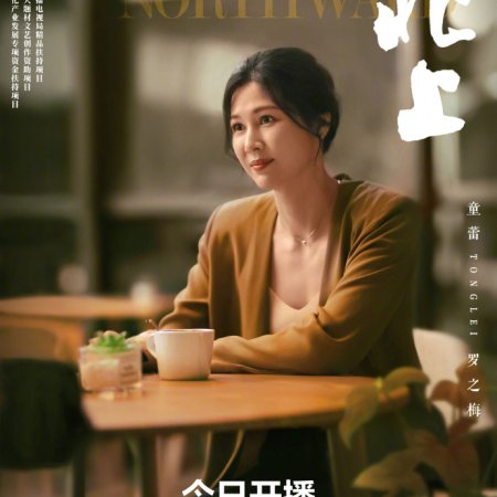 Northward (2025)