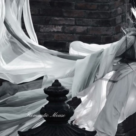 Veil of Shadows ()