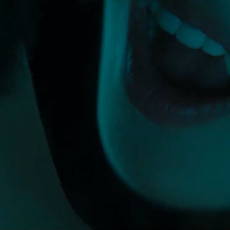 Portraits of Delusion (2026)