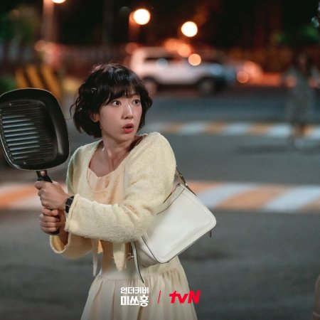 Undercover Miss Hong (2026)