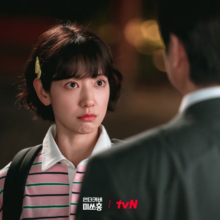 Undercover Miss Hong (2026)