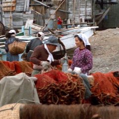 The Sound of Waves Japanese Movie(1964) photo