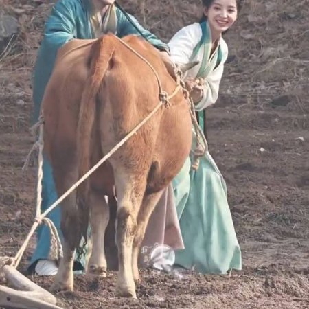 Where the Mask Ends ()