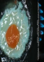 Sunny Side up and Down Hong Kong Movie(2026) photo