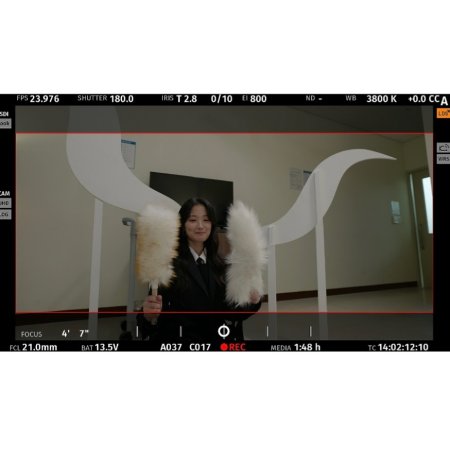 No Tail to Tell (2026)