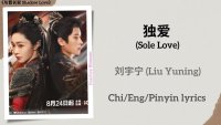 独爱 (Sole Love) - 刘宇宁 (Liu Yuning)《与晋长安 Shadow Love》Chi/Eng/Pinyin lyrics