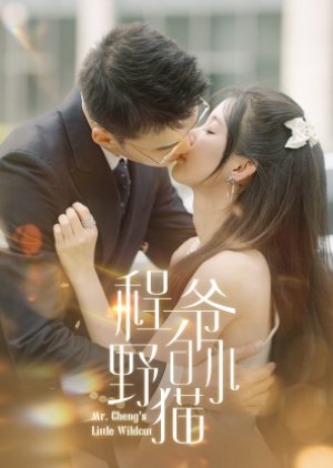 Mr. Cheng's Little Wildcat (2024) poster