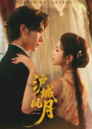 Love Me like a Revolution (2025) poster