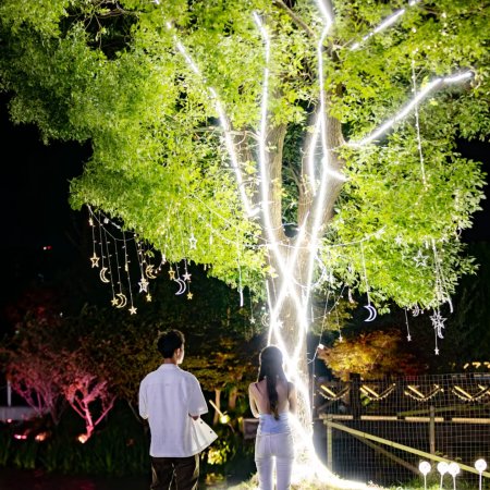 Heart Signal Season 8 (2025)