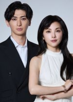 Shinainaru Otto e: Kanpekina Tsuma no Uso