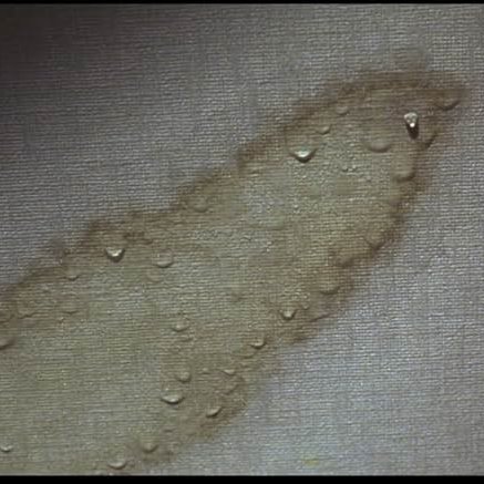 Dark Water (2002)