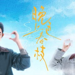 Revenge in the Golden Cage Chinese Drama photo