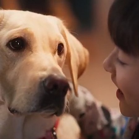 Little Q (2019)