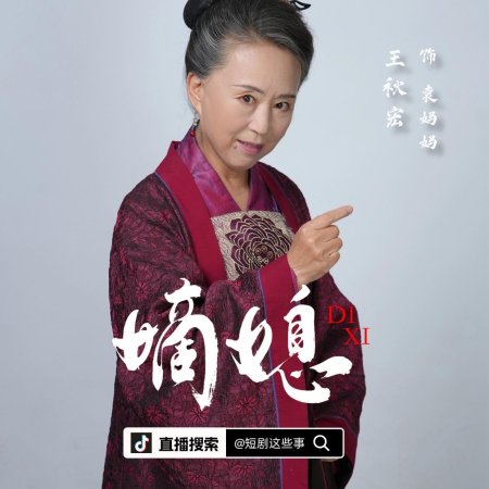 Di Xi: Hou Fu Feng Yun (2025)