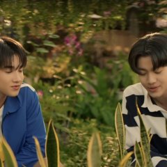 When Oranges Fall Thai Drama(2026) photo