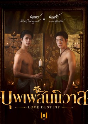 19. Love Destiny