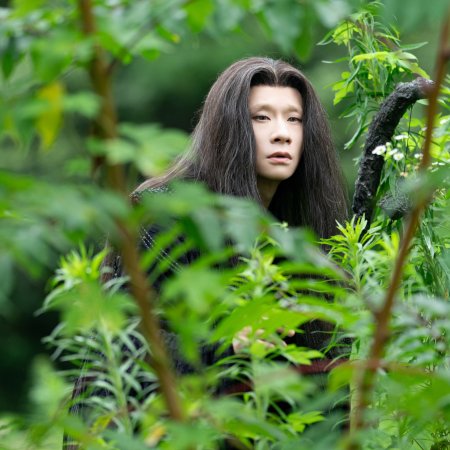 The Unclouded Soul (2025)