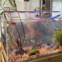 Love's Echoes Thai Drama(0000) photo