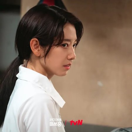 Undercover Miss Hong (2026)