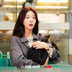 Spring Fever Korean Drama(2026) photo