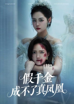 Jia Qian Jin Cheng Bu Liao Zhen Feng Huang (2025) poster