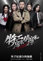 Sha Shou Fang Dong Qiao Fang Ke Chinese Drama(2021) photo