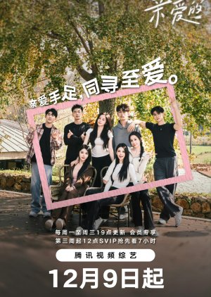 Zhi Ai De Qin Ai De (2024) poster