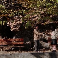 White Valentine Korean Movie photo