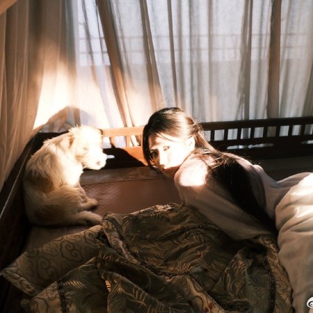 Love in the Clouds (2025)