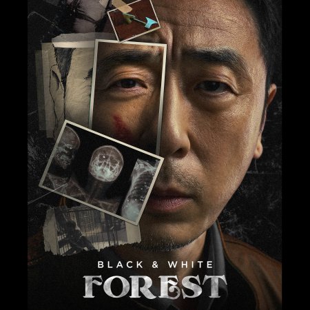 Black & White Forest (2024)